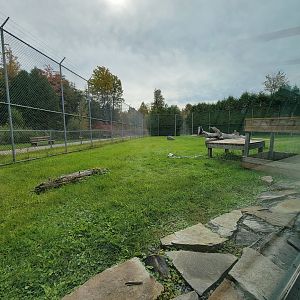 Parc Safari - Tunnel #1, lion yard #3, one tawny lionness
