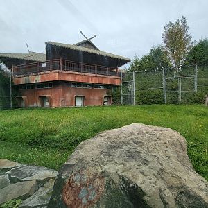 Parc Safari - Tunnel #1, lion yard #3, one tawny lionness