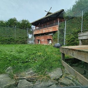 Parc Safari - Tunnel #1, lion yard #4, 3 white males