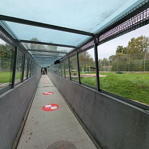 Parc Safari - Tunnel #1 extension, tiger yard