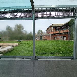 Parc Safari - Tunnel #1 extension, tiger yard