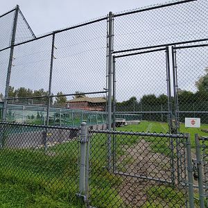 Parc Safari - Tunnel #1 extension, tiger yard, from outside path