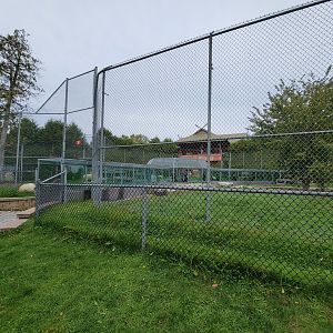 Parc Safari - Lion yard #4 from outside path