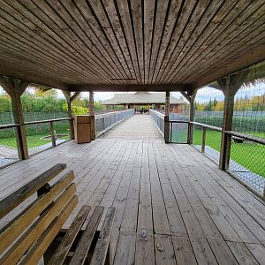 Parc Safari - Overhead boardwalk for felids
