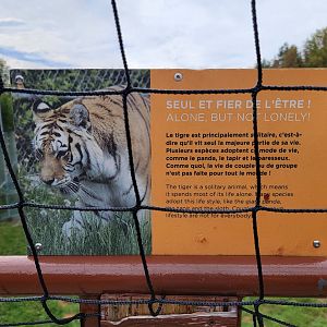 Parc Safari - Alone, but not lonely! Tigers are solitary :)