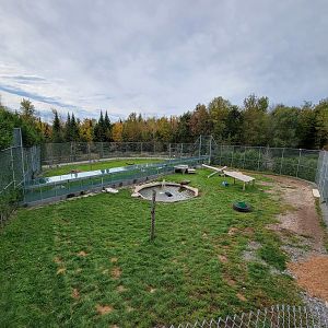 Parc Safari - Tiger yard