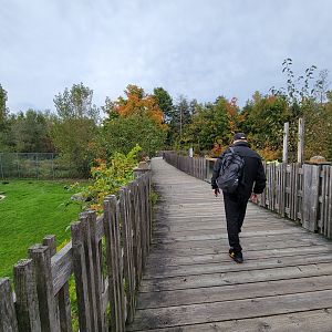 Parc Safari - Olduvai Walkway, here between hyenas and wolves