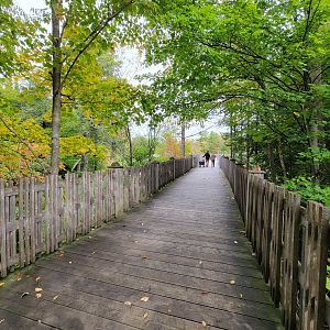 Parc Safari - Olduvai Walkway, to macaques