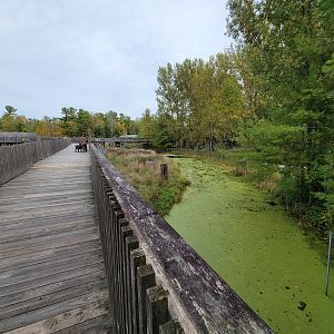 Parc Safari - Olduvai Walkway, Japanese macaques, beginning of island