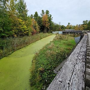 Parc Safari - Olduvai Walkway, Japanese macaques, beginning of island