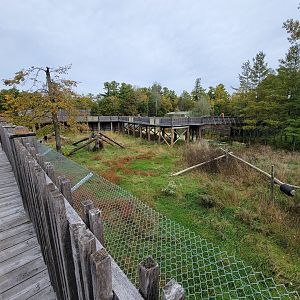 Parc Safari - Olduvai Walkway, Japanese macaque island (currently closed)