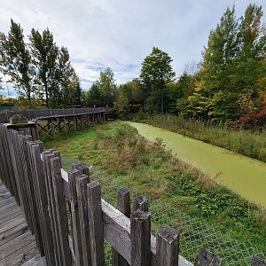 Parc Safari - Olduvai Walkway, Japanese macaques island (currently closed)