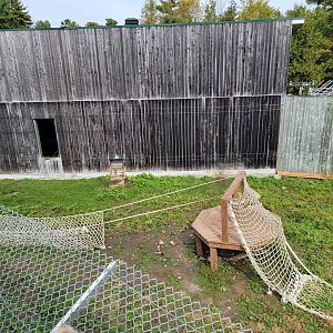 Parc Safari - Olduvai Walkway, Japanese macaques yard #2