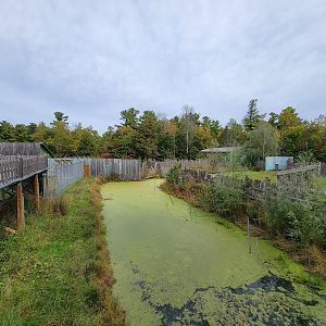 Parc Safari - Olduvai Walkway, waterway between macaques and tapir