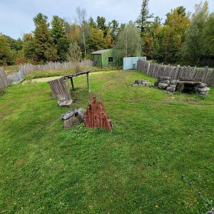 Parc Safari - Olduvai Walkway, Malayan tapir