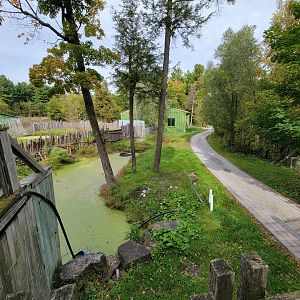 Parc Safari - Olduvai Walkway, Employee area past tapir