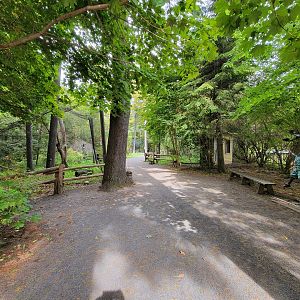 Parc Safari - Birds' Garden