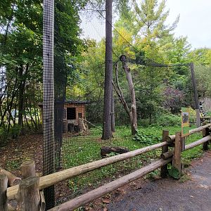 Parc Safari - Birds' Garden, Eurasian Eagle-Owl