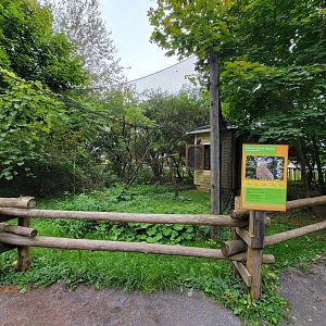 Parc Safari - Birds' Garden, red-tailed hawk