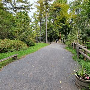 Parc Safari - Birds' Garden, path