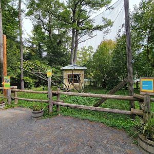 Parc Safari - Birds' Garden, broad-winged hawk