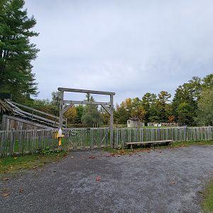 Parc Safari - Birds' Garden, bird show area