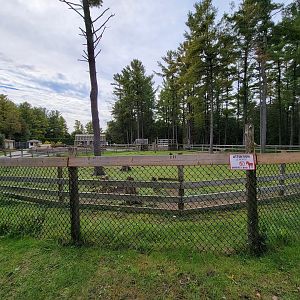 Parc Safari - Farm of the 5 Continents, empty yard, used to have capybara?