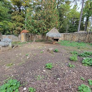 Parc Safari - Farm of the 5 Continents, Patagonian mara
