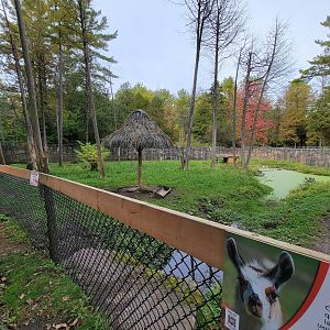 Parc Safari - Farm of the 5 Continents, llama and sandhill cranes