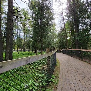 Parc Safari - Farm of the 5 Continents, path