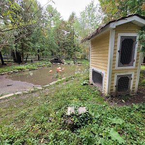 Parc Safari - Farm of the 5 Continents, Caribbean flamingos and waterfowl