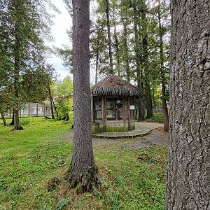 Parc Safari - Farm of the 5 Continents, common marmosets, waterfowl walkthrough closed due to bird flu