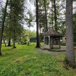 Parc Safari - Farm of the 5 Continents, common marmosets, waterfowl walkthrough closed due to bird flu