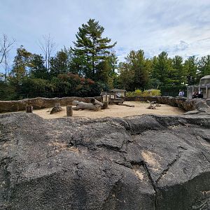 Parc Safari - Farm of the 5 Continents, African porcupines