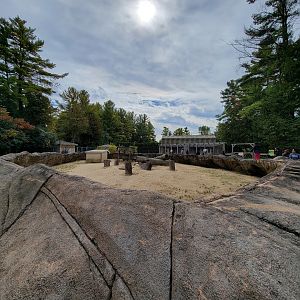 Parc Safari - Farm of the 5 Continents, African porcupines