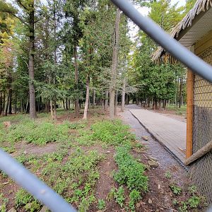 Parc Safari - Farm of the 5 Continents, Deer Trail (closed)