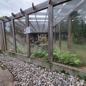 Parc Safari - Farm of the 5 Continents, Fennec fox