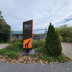 Parc Safari - Afrika Terrace