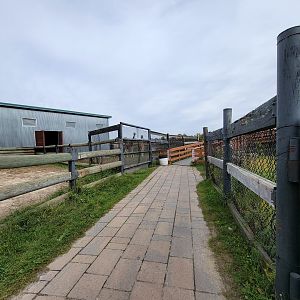 Parc Safari - Afrika Terrace, giraffe barns on left