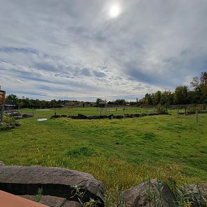 Parc Safari - Afrika Terrace