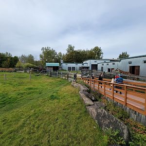 Parc Safari - Afrika Terrace, giraffe barns