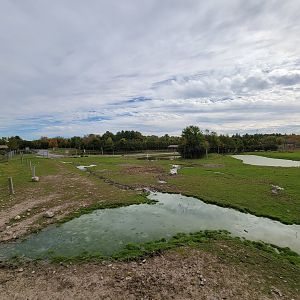 Parc Safari - Afrika Terrace