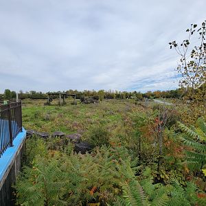 Parc Safari - Afrika Terrace, African elephant yard