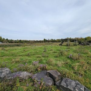 Parc Safari - Afrika Terrace, African elephant yard