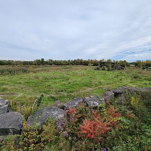Parc Safari - Afrika Terrace, African elephant yard