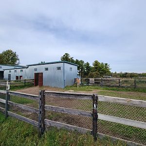 Parc Safari - Afrika Terrace, giraffe barns