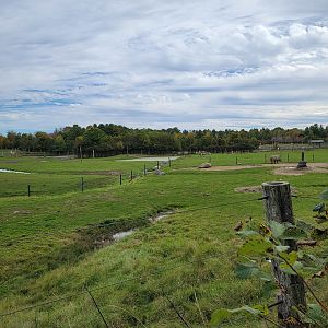Parc Safari - Afrika Terrace