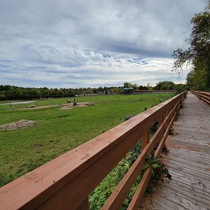 Parc Safari - Afrika Terrace, boardwalk