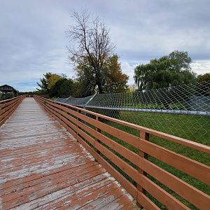 Parc Safari - Boardwalk between cheetah yards