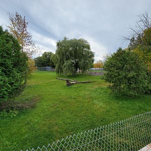 Parc Safari - Cheetah yard #1